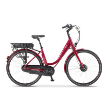 Wholsesale 2019 City Electric Bike with LG Cells